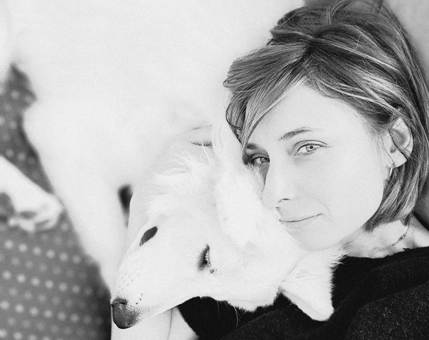 Arrow Du Moulin De Beuvry