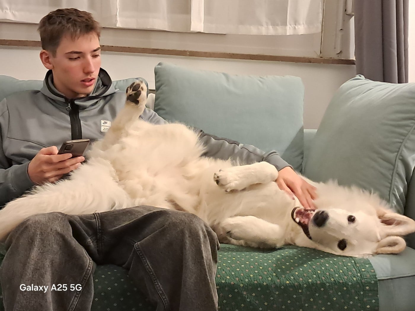 Arrow Du Moulin De Beuvry