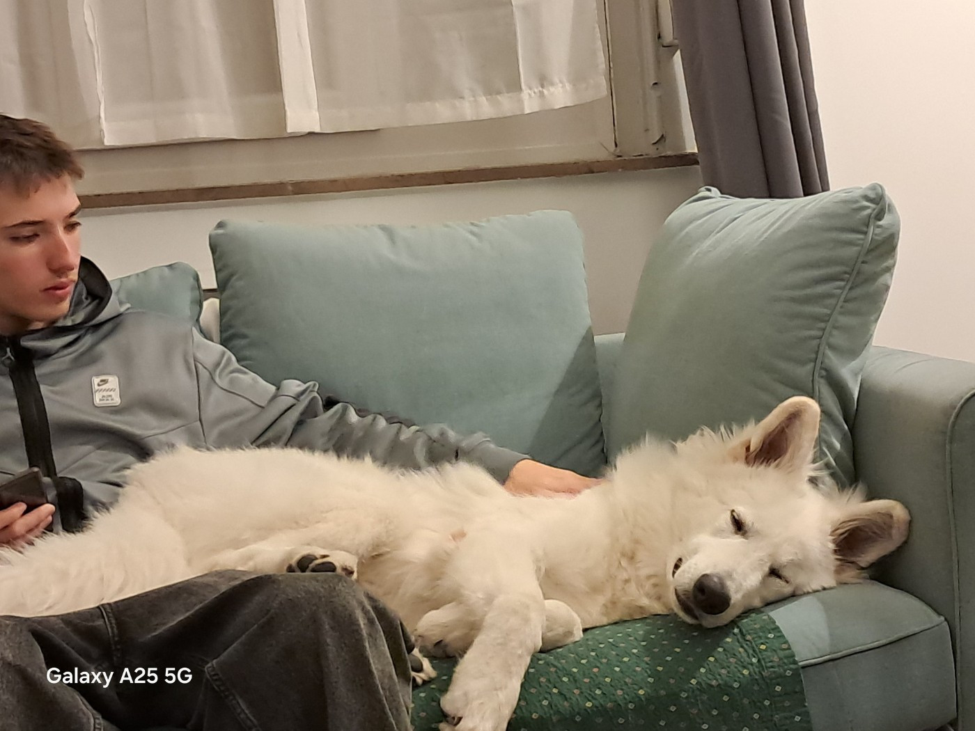 Arrow Du Moulin De Beuvry