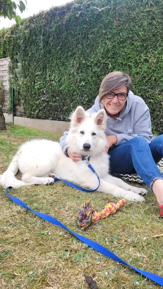 Ash Du Moulin De Beuvry