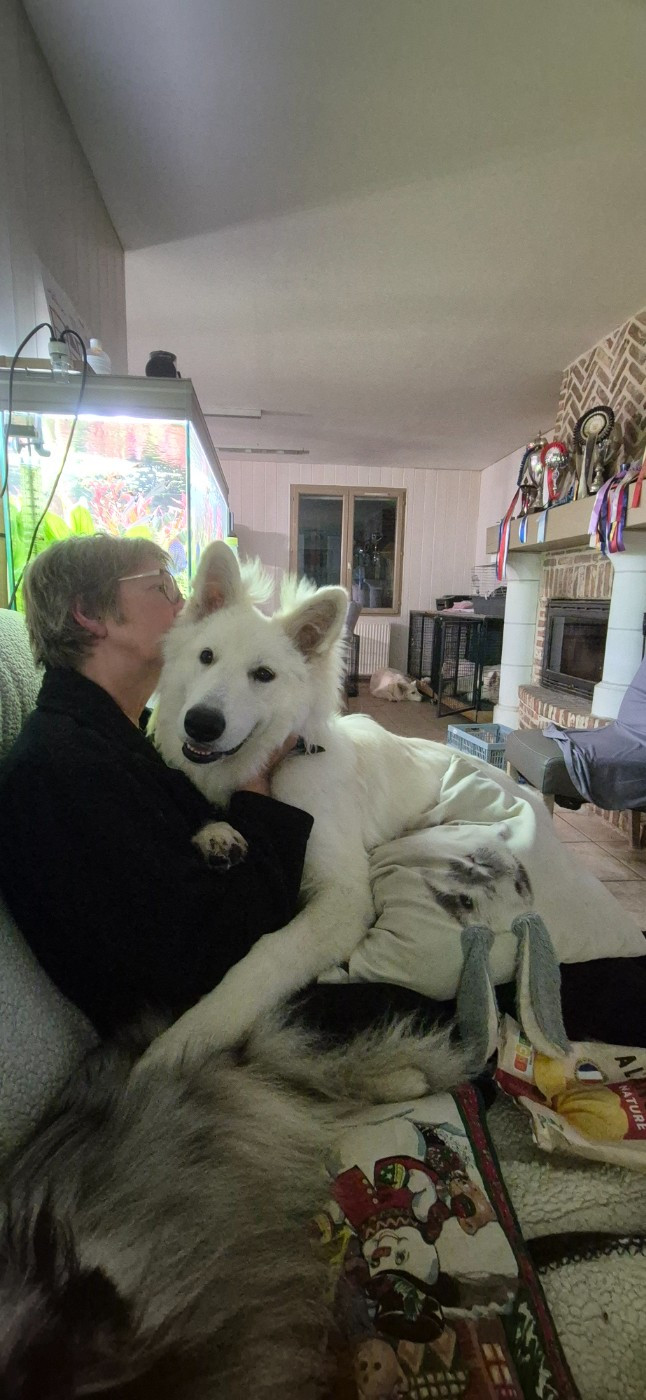 Ash Du Moulin De Beuvry