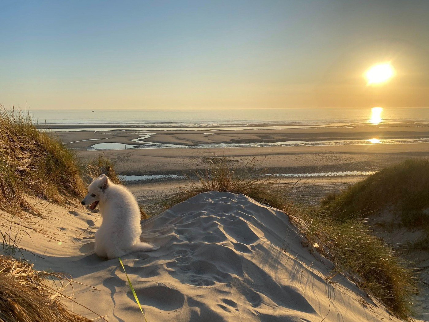 Ati Du Moulin De Beuvry