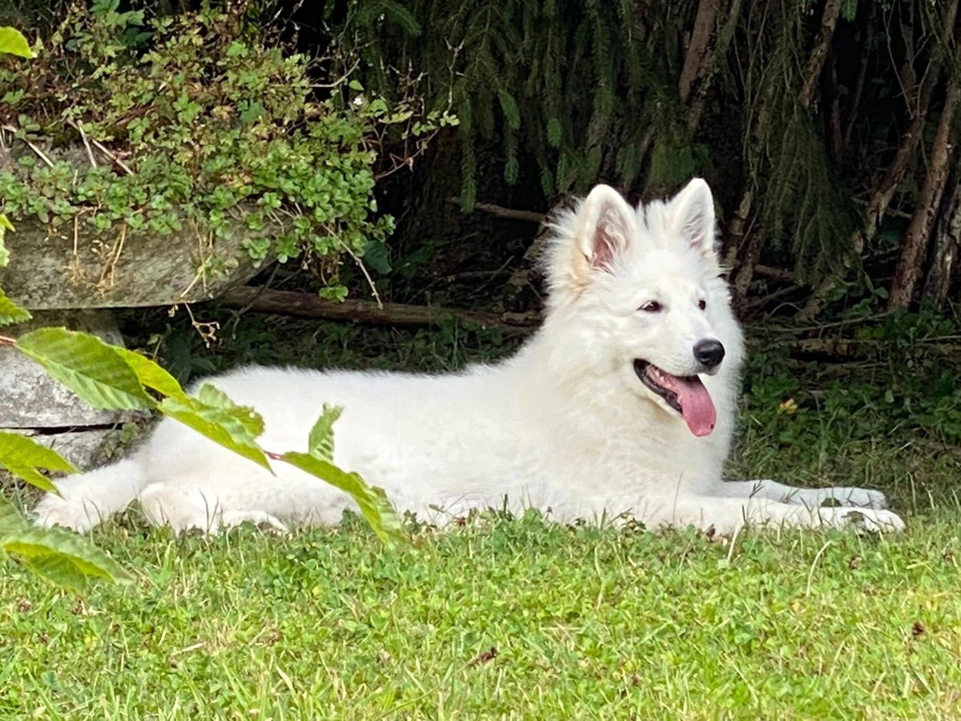 Ati Du Moulin De Beuvry