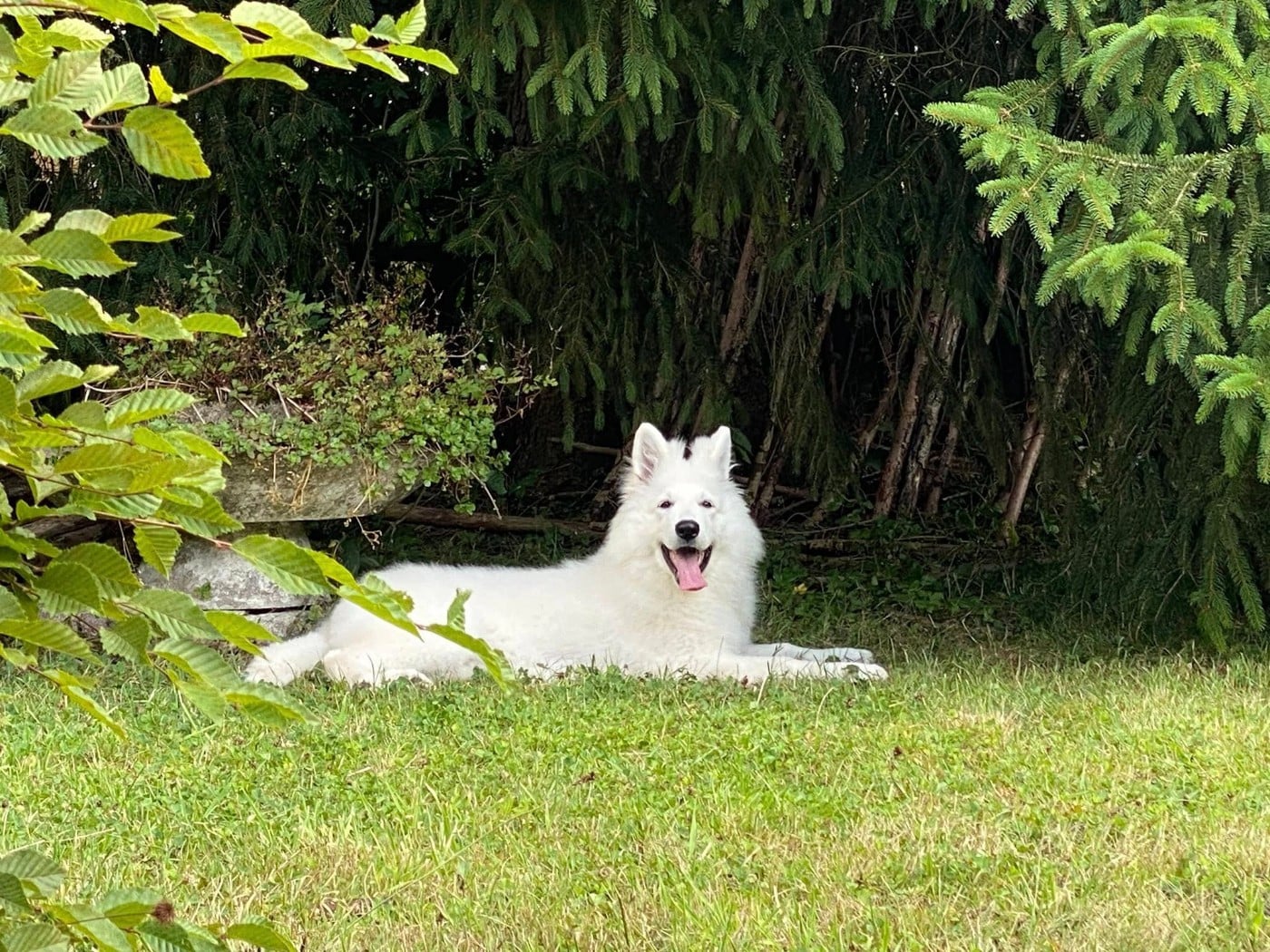 Ati Du Moulin De Beuvry