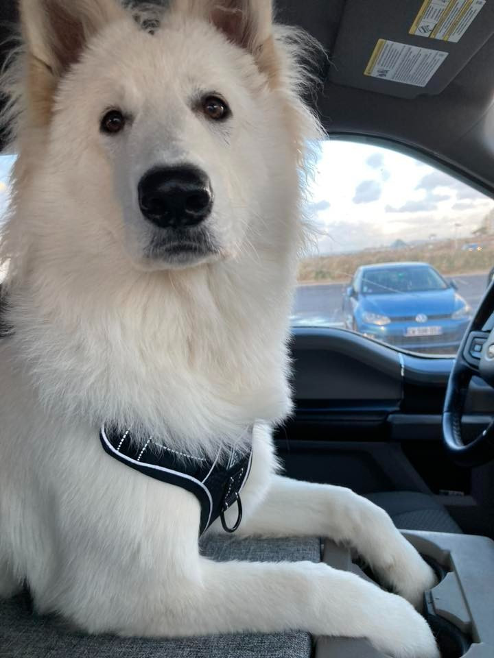 Ati Du Moulin De Beuvry