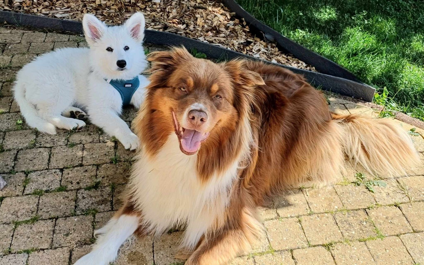 Avenn Du Moulin De Beuvry