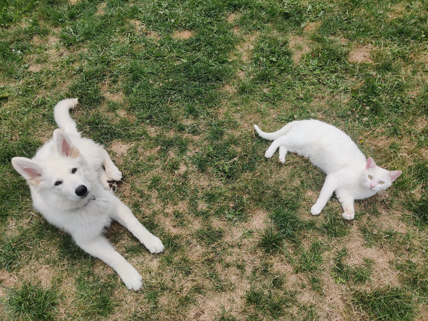 Avenn Du Moulin De Beuvry