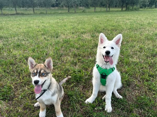 Avenn Du Moulin De Beuvry
