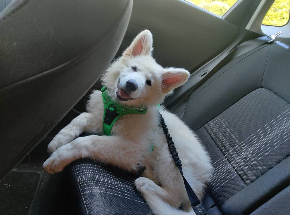 Avenn Du Moulin De Beuvry