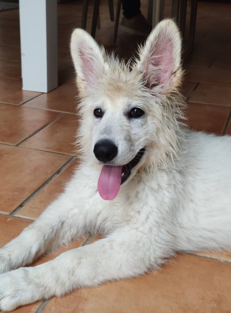 Avenn Du Moulin De Beuvry