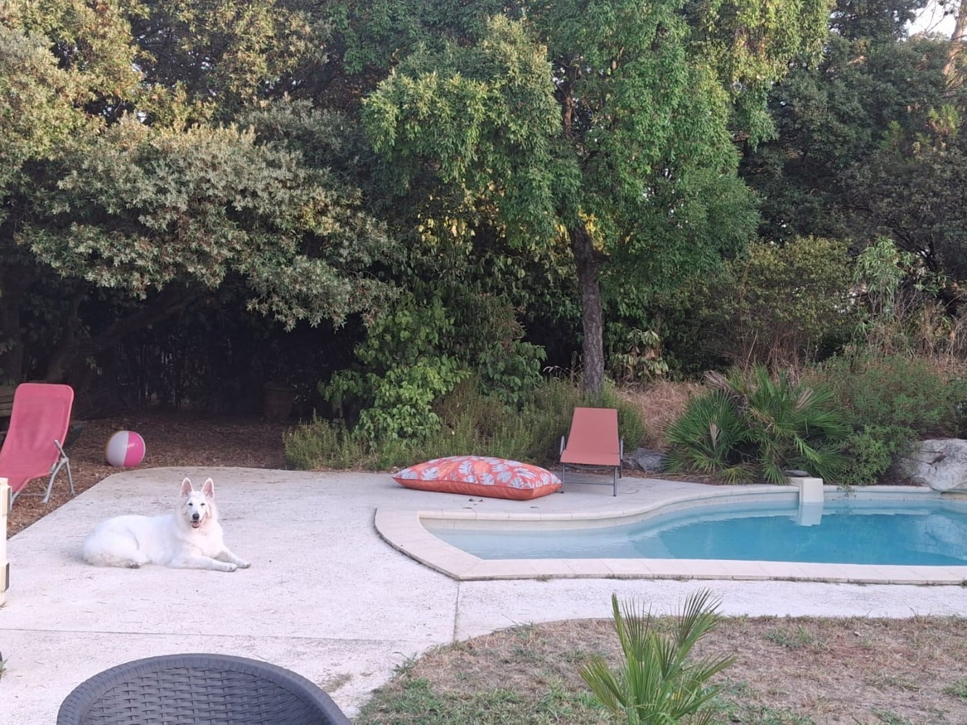 Publication : Du Moulin De Beuvry Auteur : Mme THIERRY