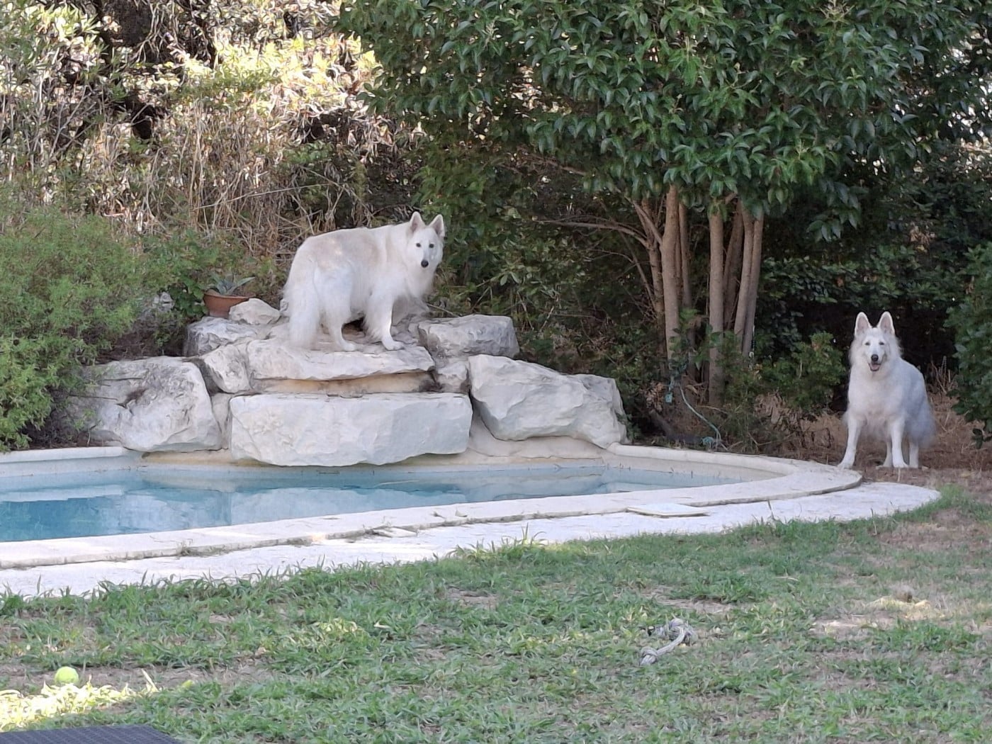 Publication : Du Moulin De Beuvry Auteur : Mme THIERRY