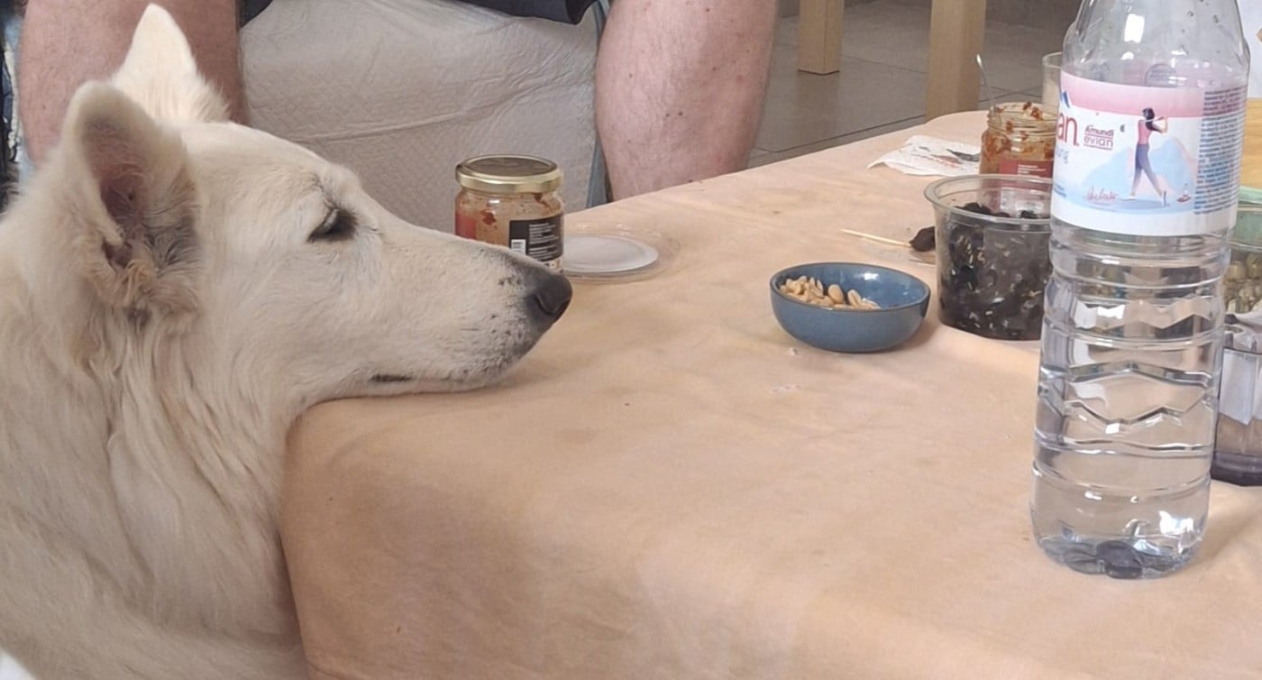 NaÏa Du Moulin De Beuvry