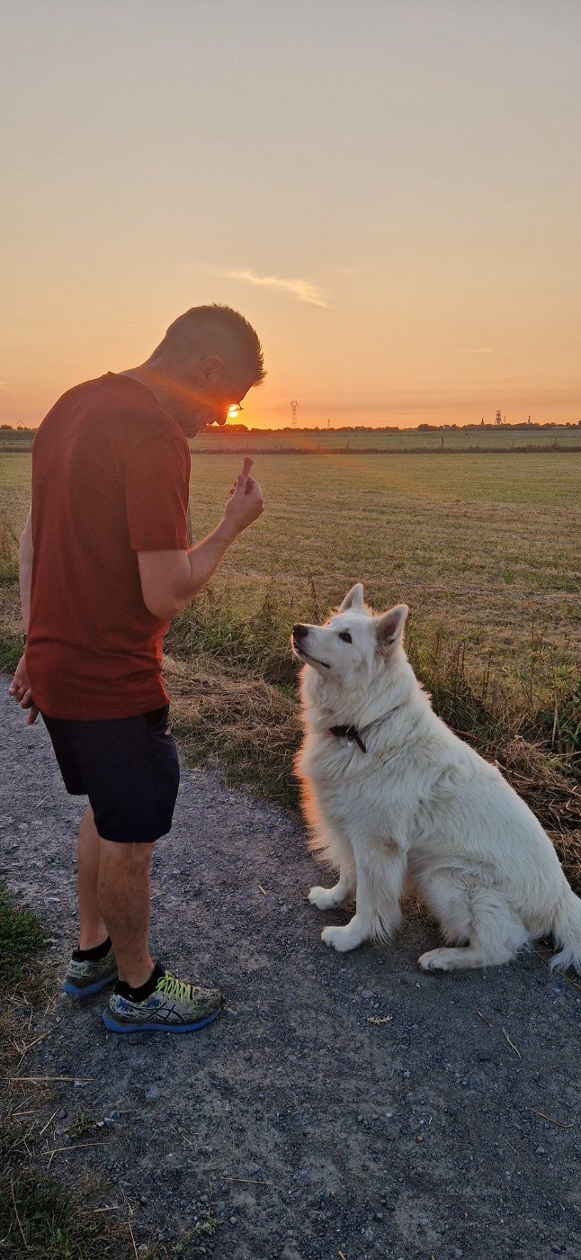 M'luffy Du Moulin De Beuvry