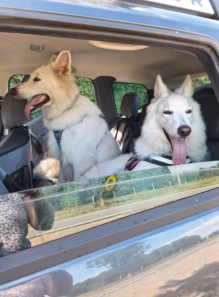 Ozalee Du Moulin De Beuvry