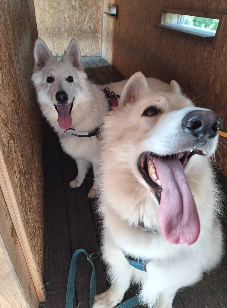 Ozalee Du Moulin De Beuvry