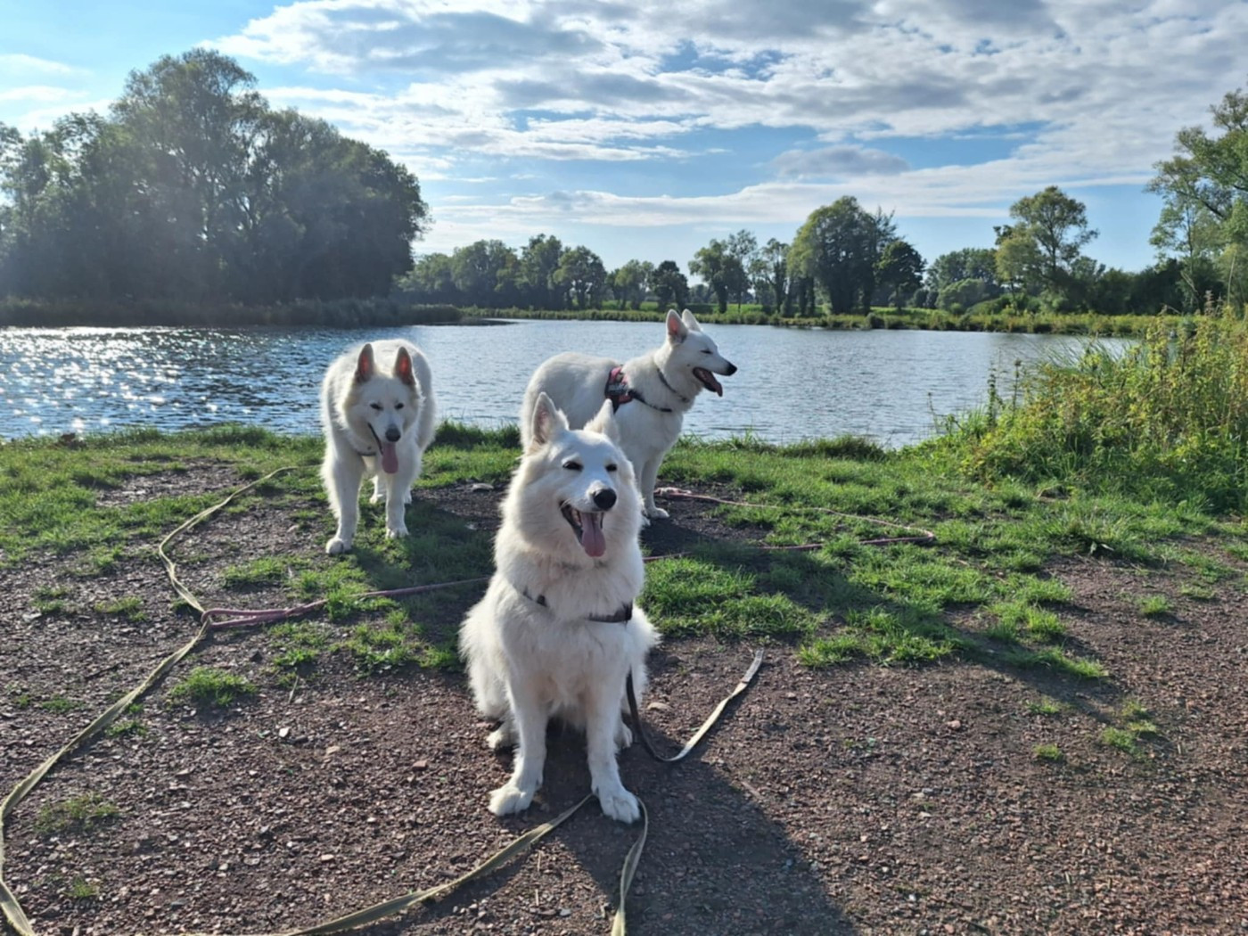 Ozalee Du Moulin De Beuvry