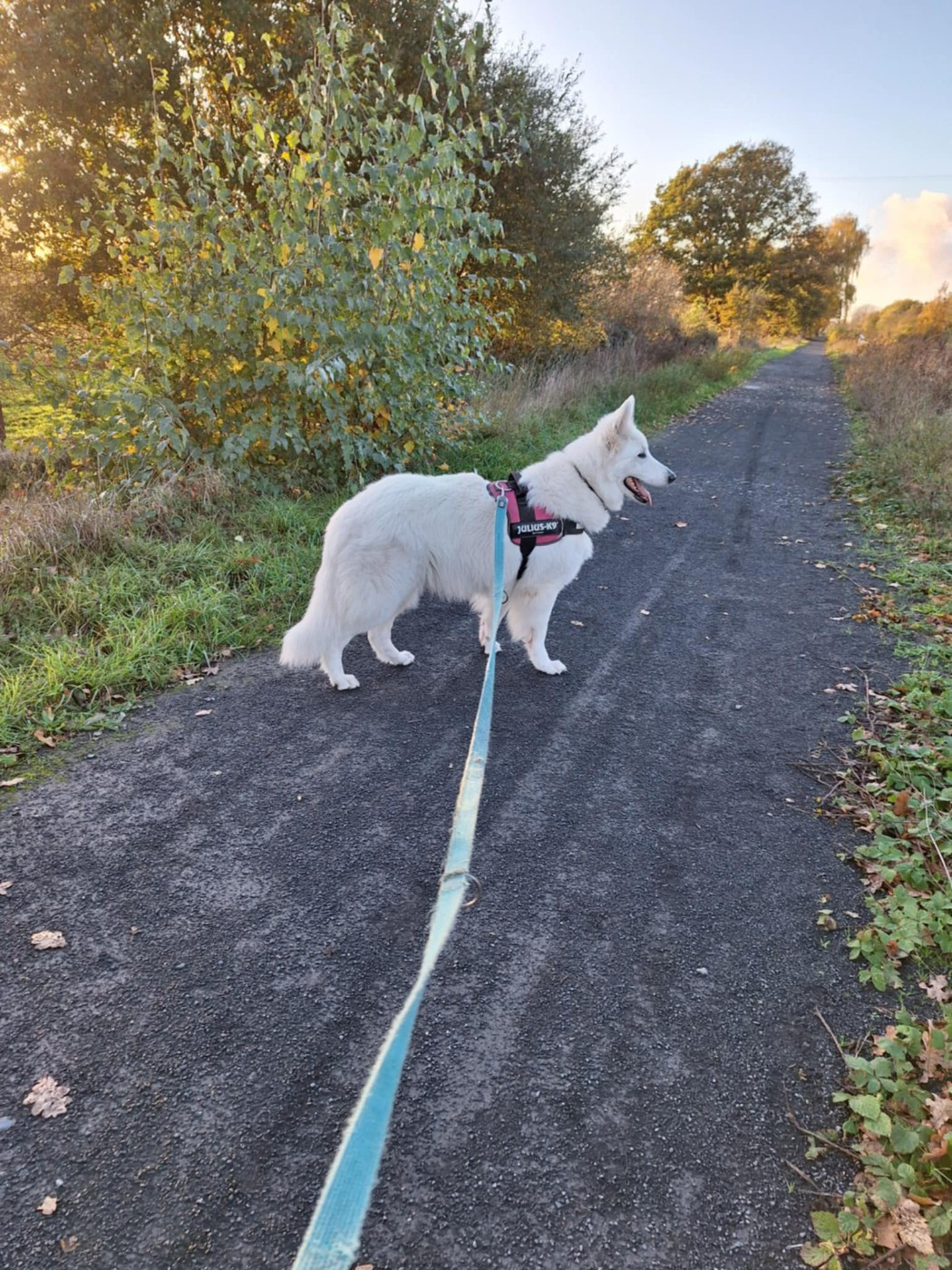 Ozalee Du Moulin De Beuvry