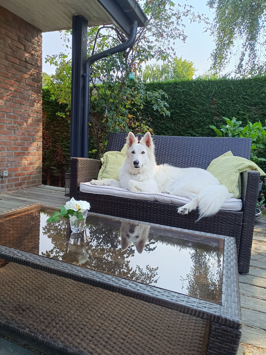 Udina Du Moulin De Beuvry