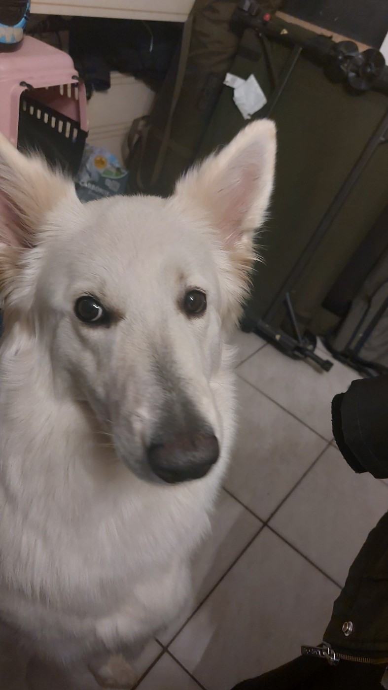 P'kaline Du Moulin De Beuvry