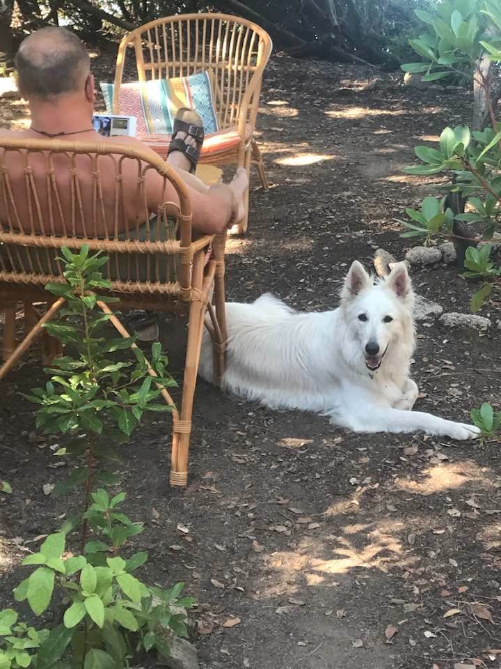 Pedge Du Moulin De Beuvry