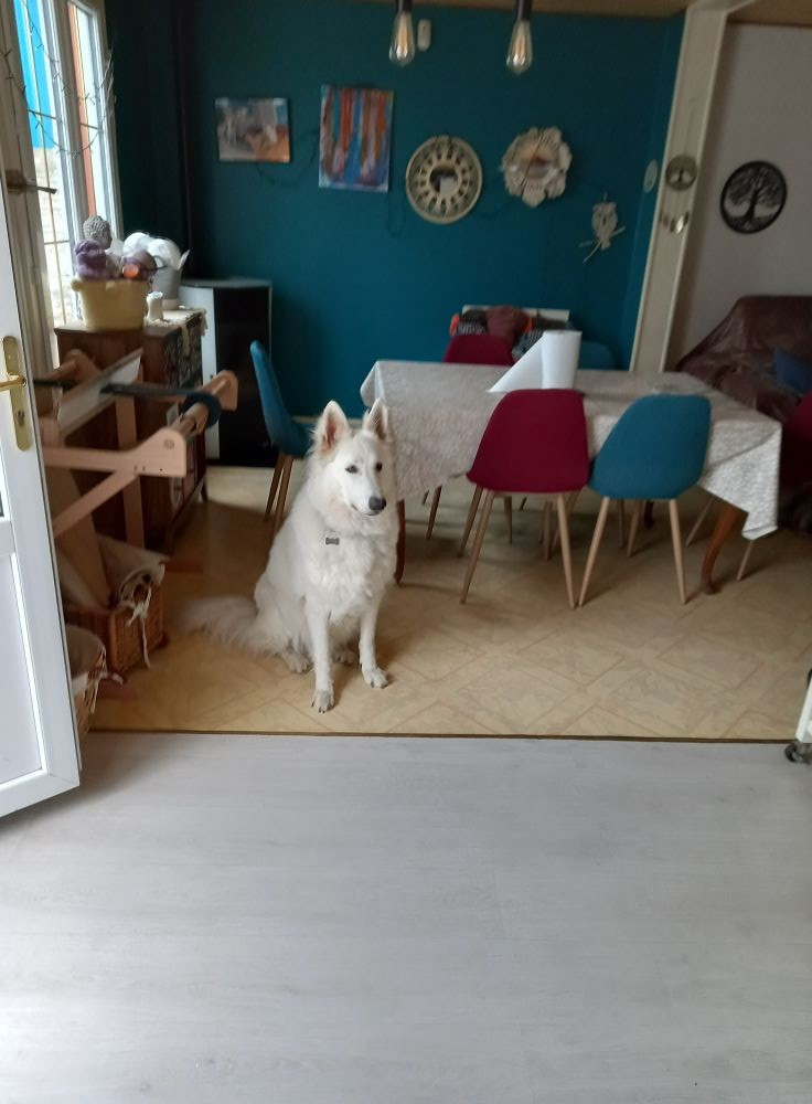 R'alaska Du Moulin De Beuvry