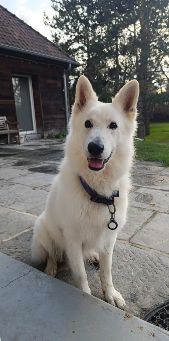 R'night Du Moulin De Beuvry