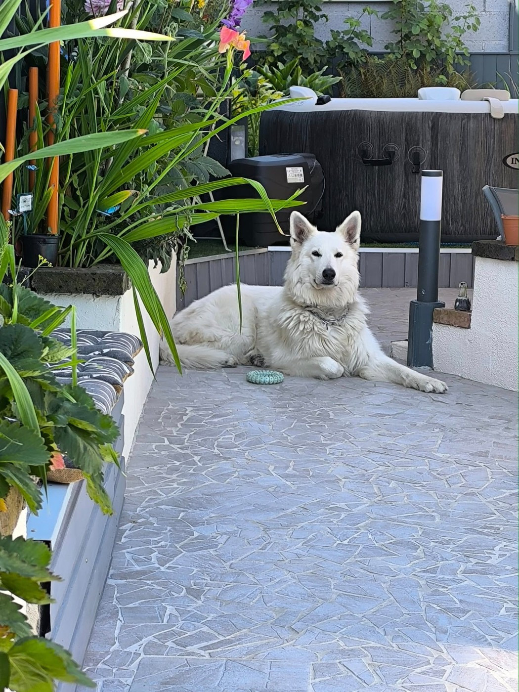 R'sirius Du Moulin De Beuvry