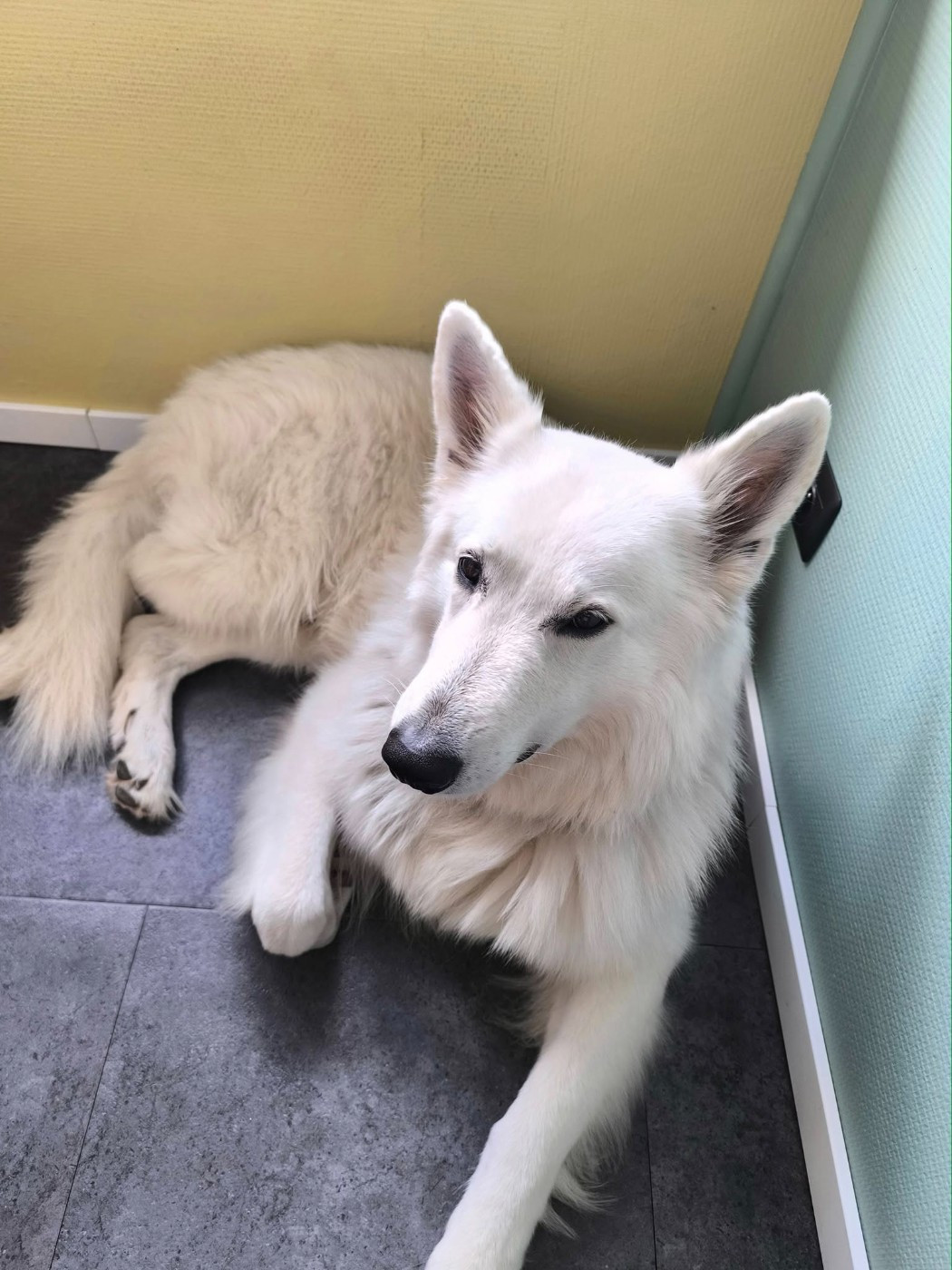 R'sirius Du Moulin De Beuvry