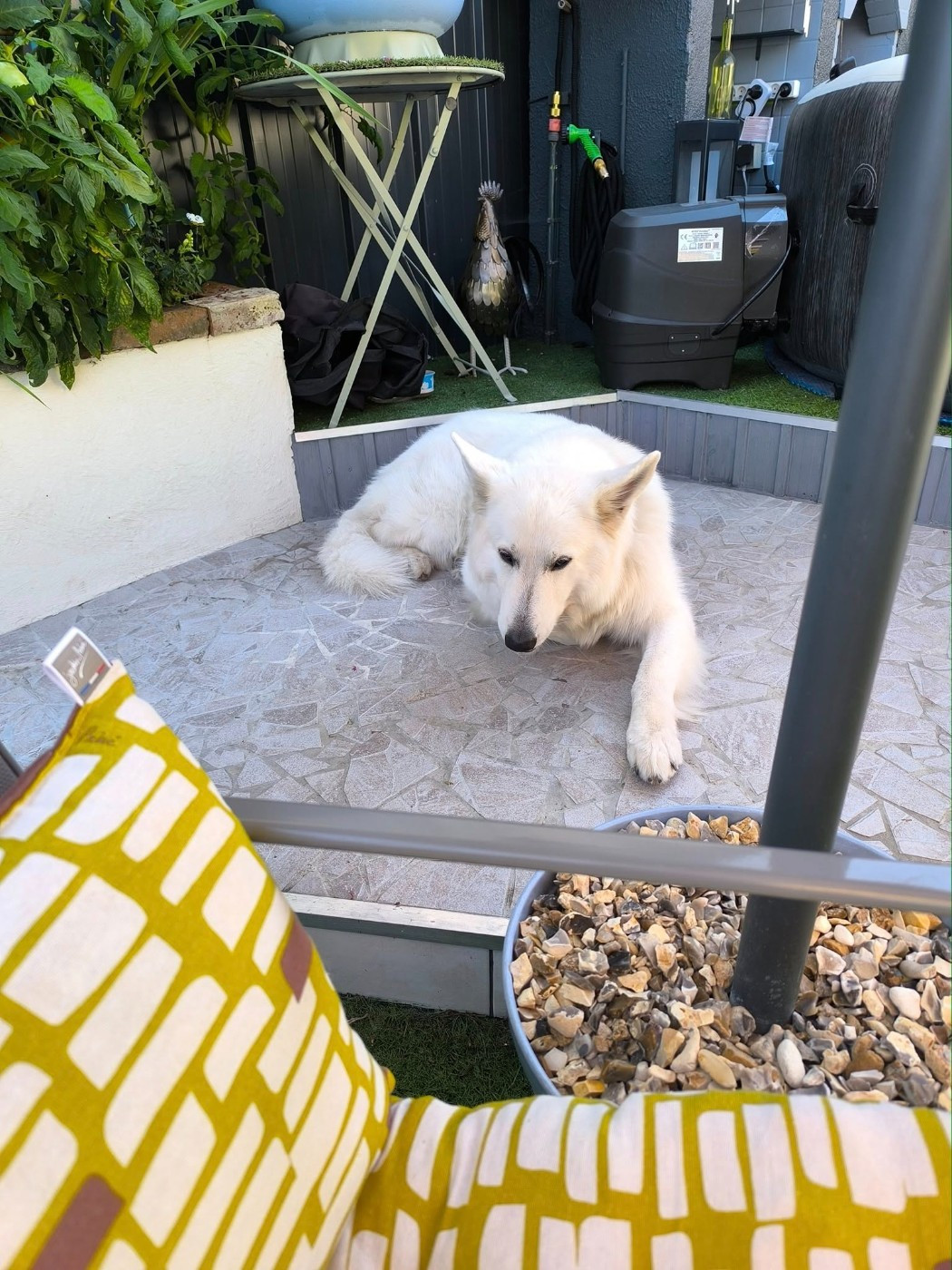 R'sirius Du Moulin De Beuvry