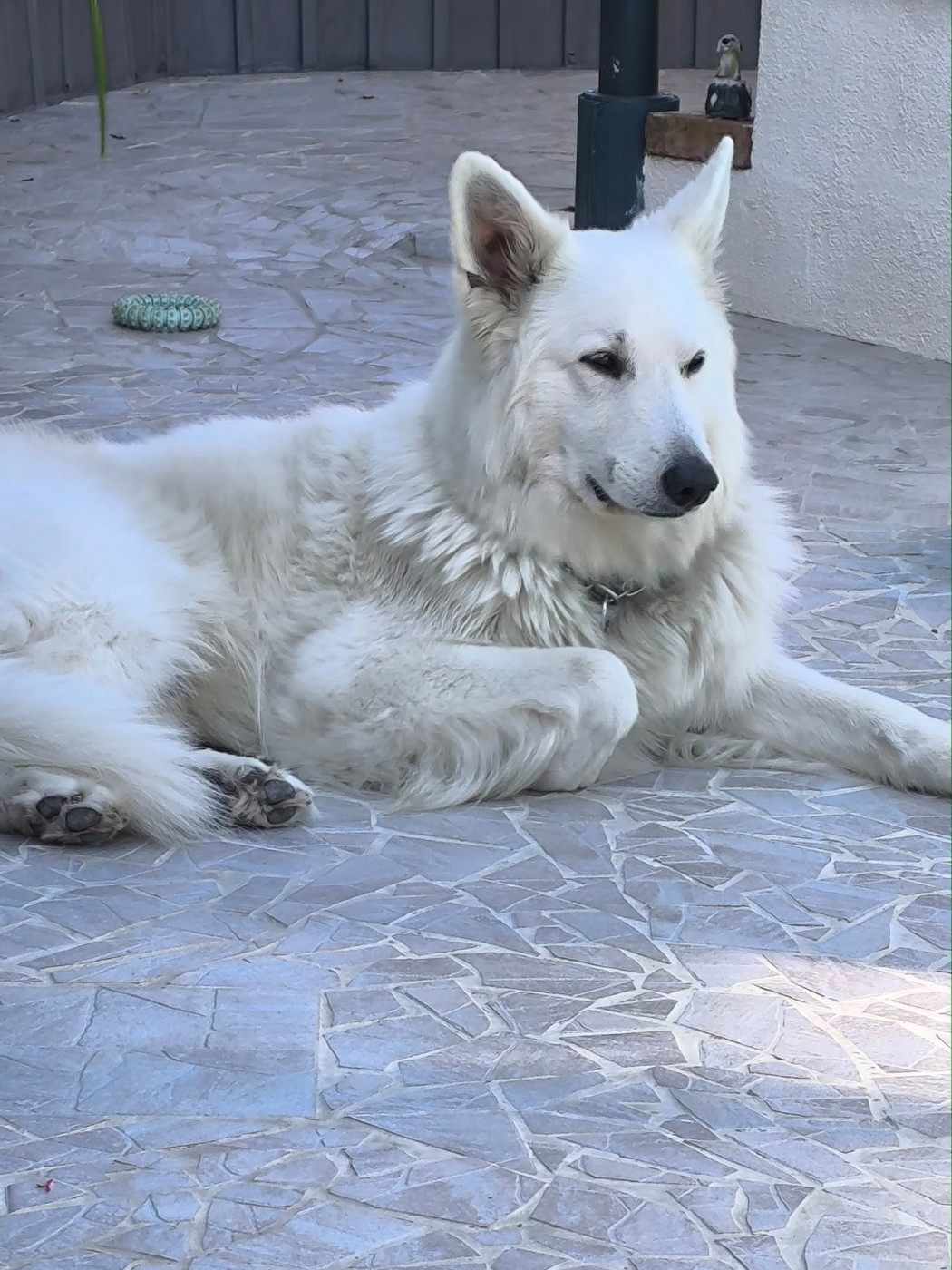 R'sirius Du Moulin De Beuvry