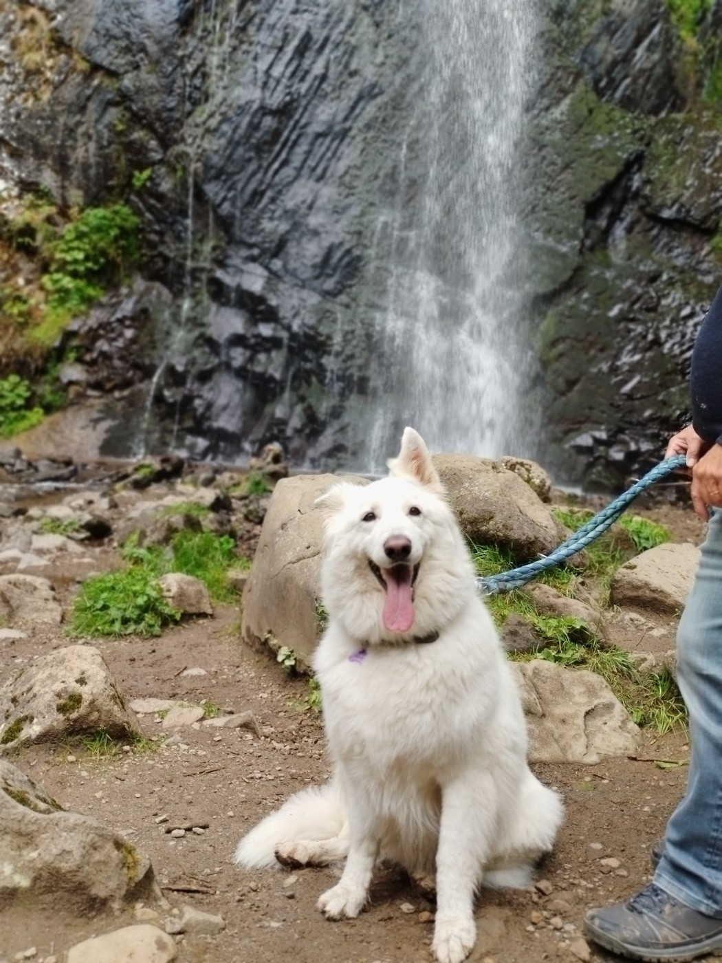 Richka Du Moulin De Beuvry