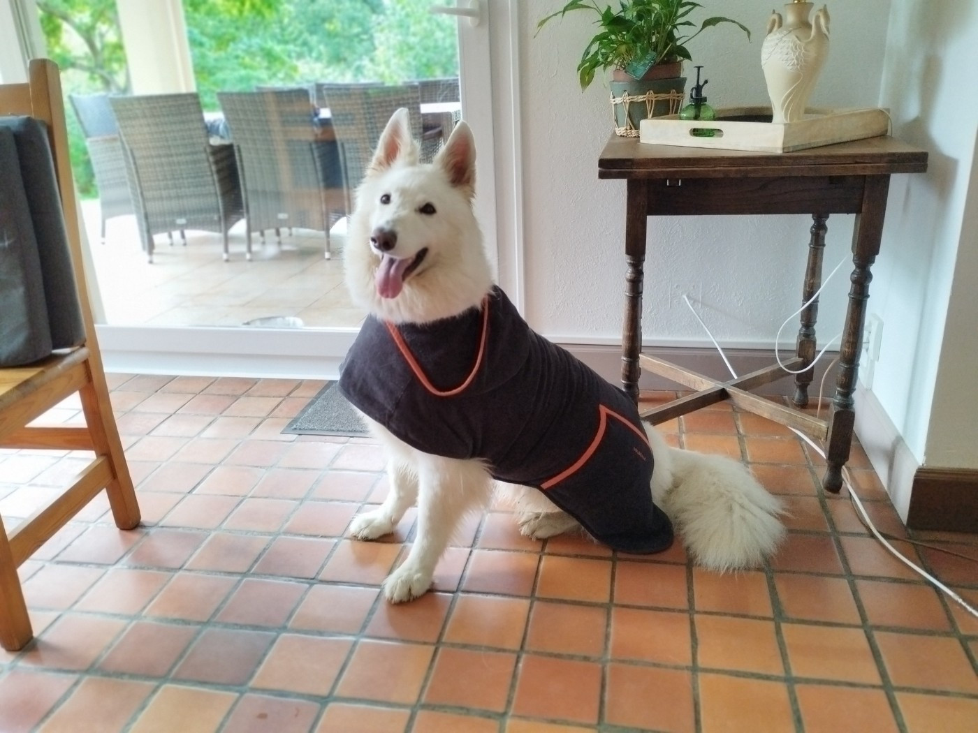 Richka Du Moulin De Beuvry