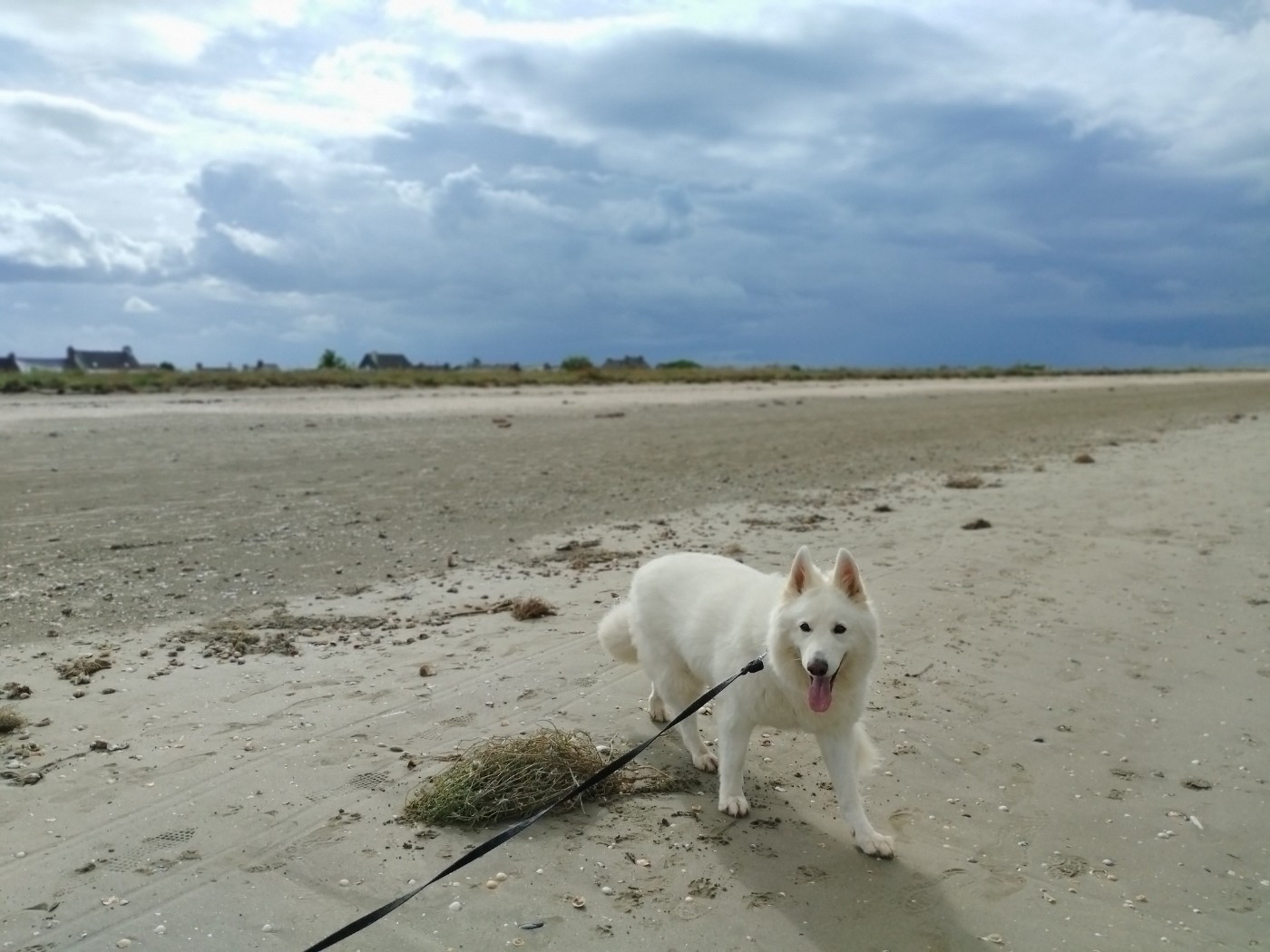 Richka Du Moulin De Beuvry