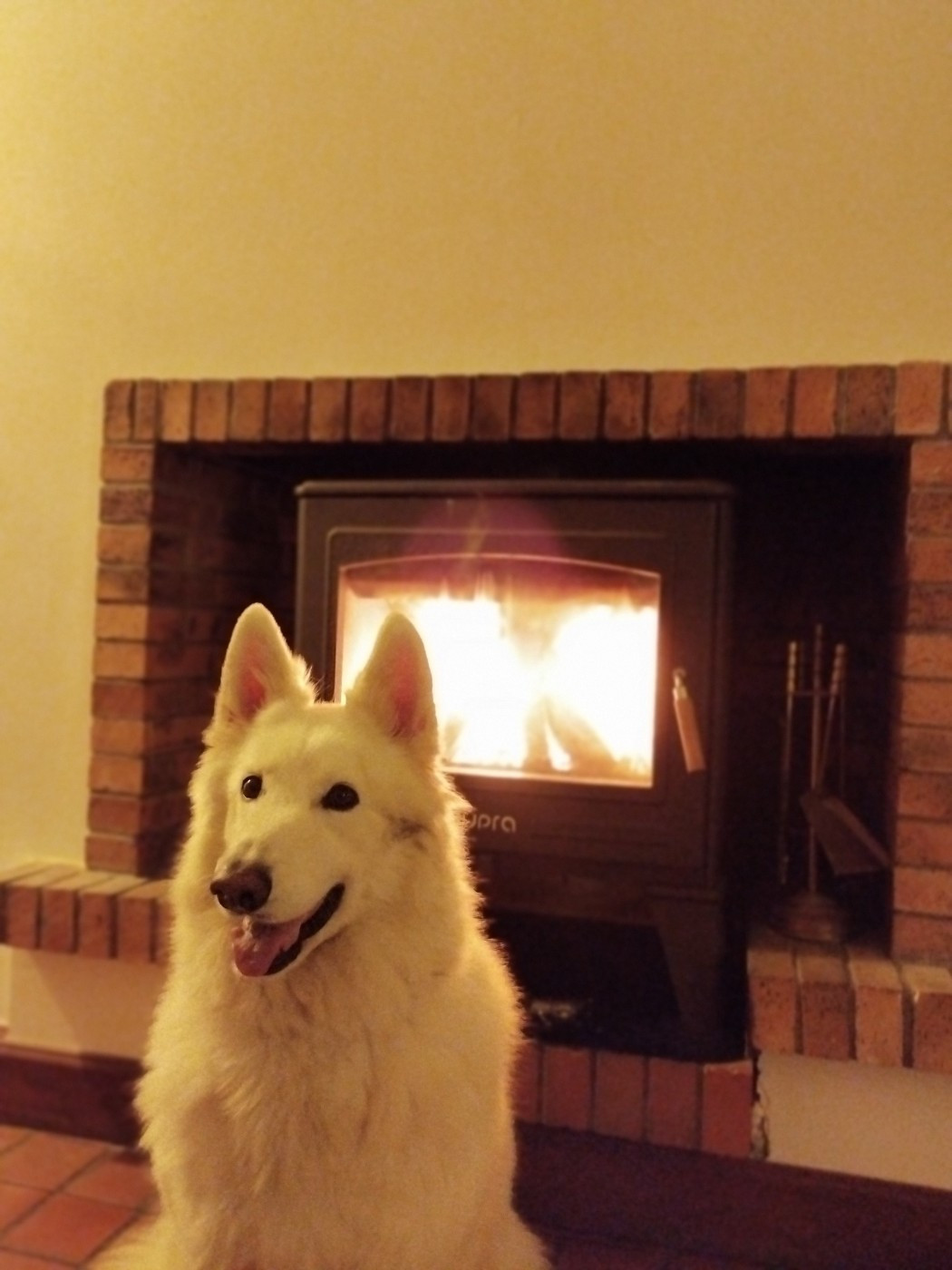 Richka Du Moulin De Beuvry