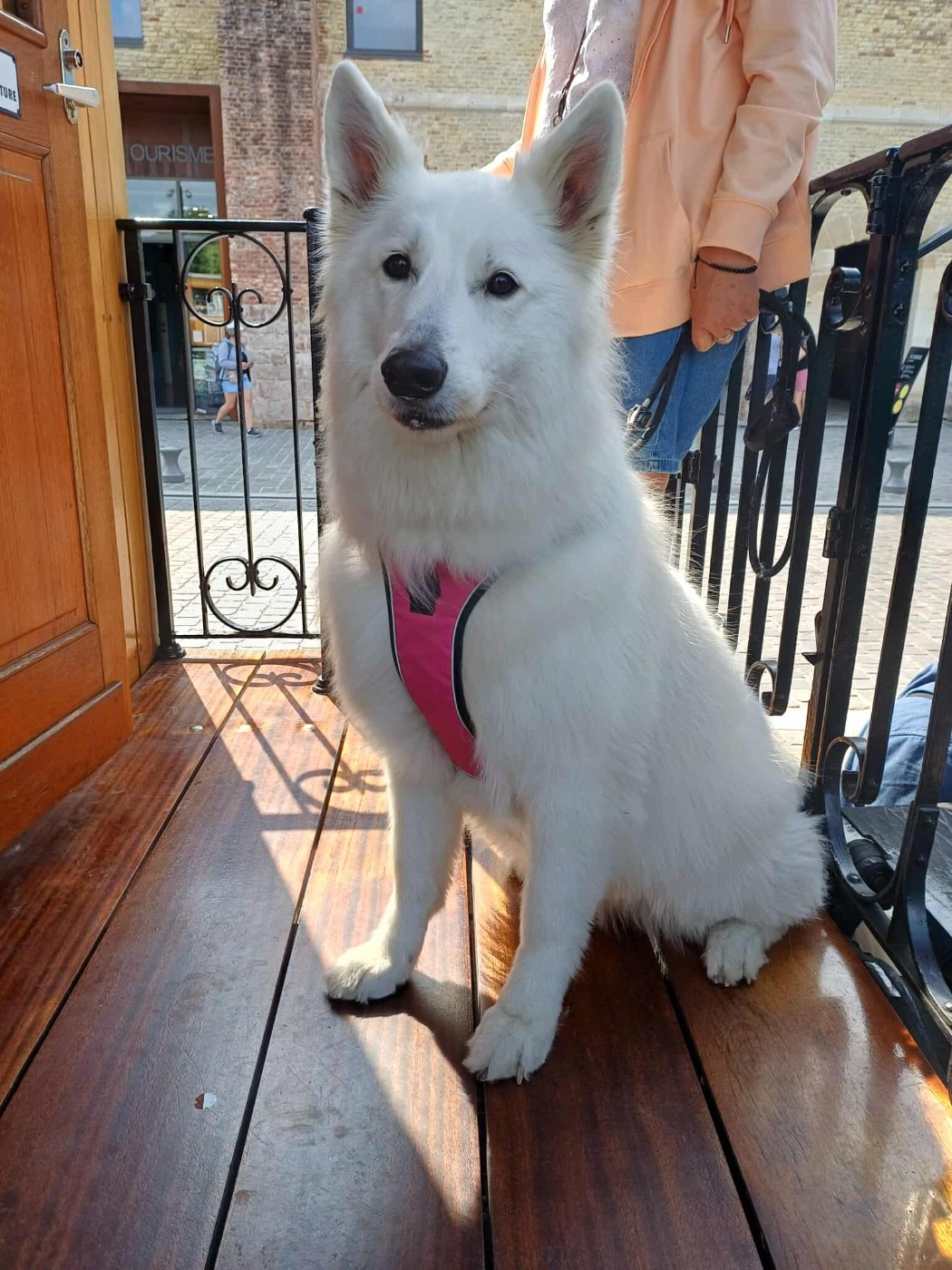 Romie Du Moulin De Beuvry