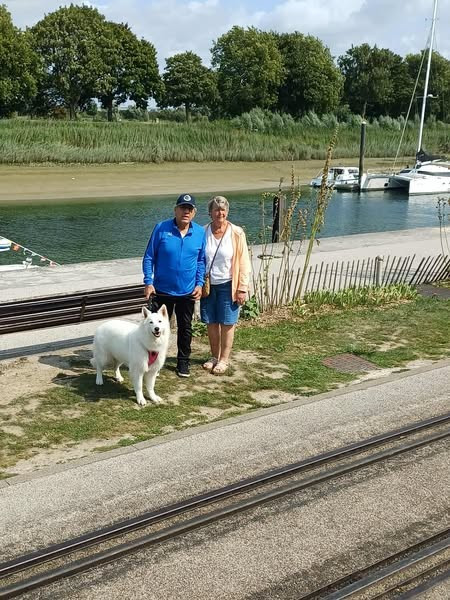 Romie Du Moulin De Beuvry