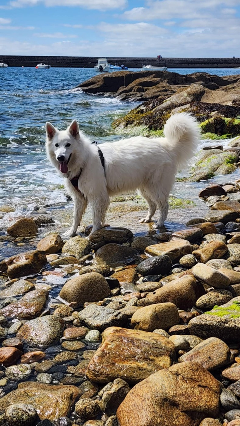 Roxie Du Moulin De Beuvry