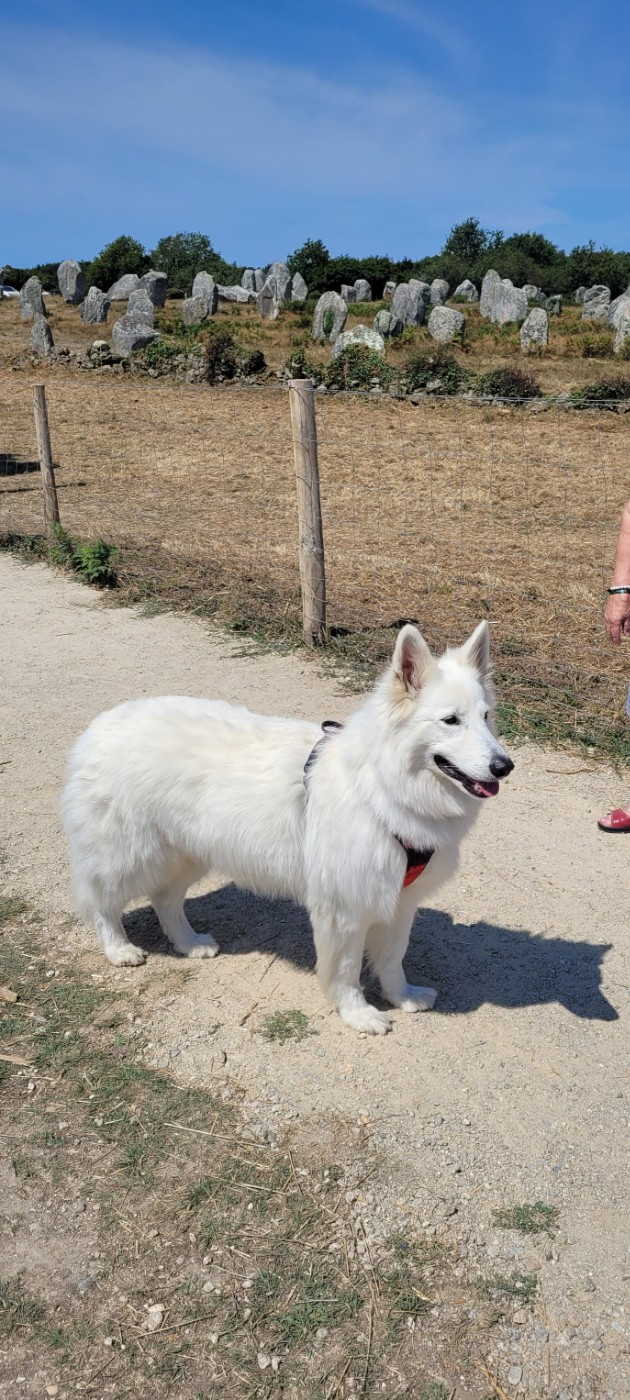 Roxie Du Moulin De Beuvry