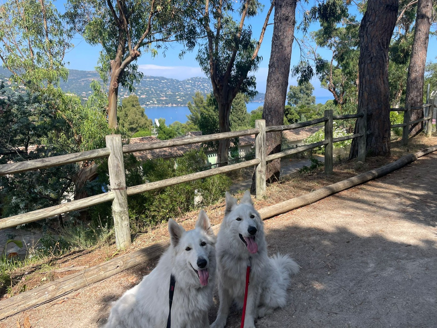 U wolf de la madeleine Du Moulin De Beuvry