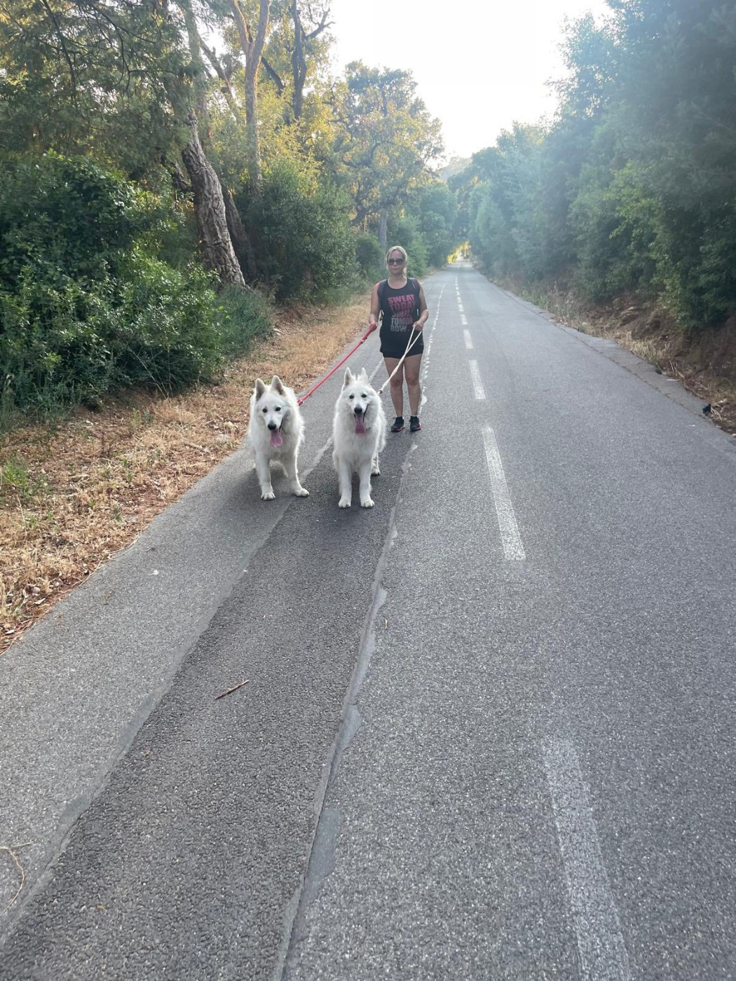 U wolf de la madeleine Du Moulin De Beuvry