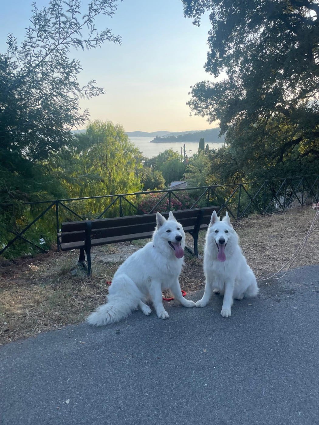 U wolf de la madeleine Du Moulin De Beuvry