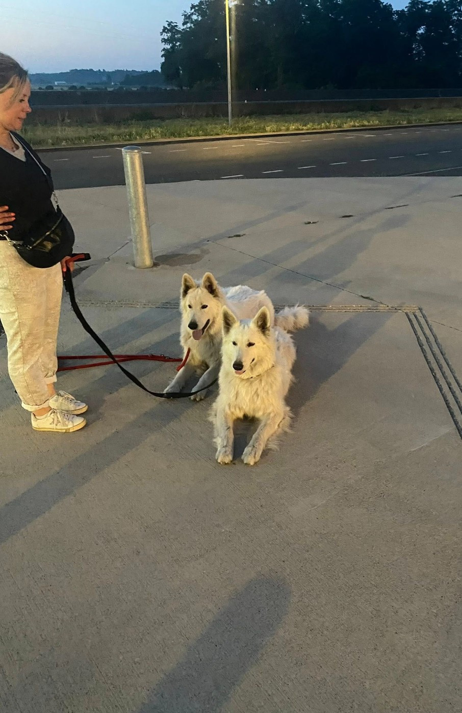 U wolf de la madeleine Du Moulin De Beuvry