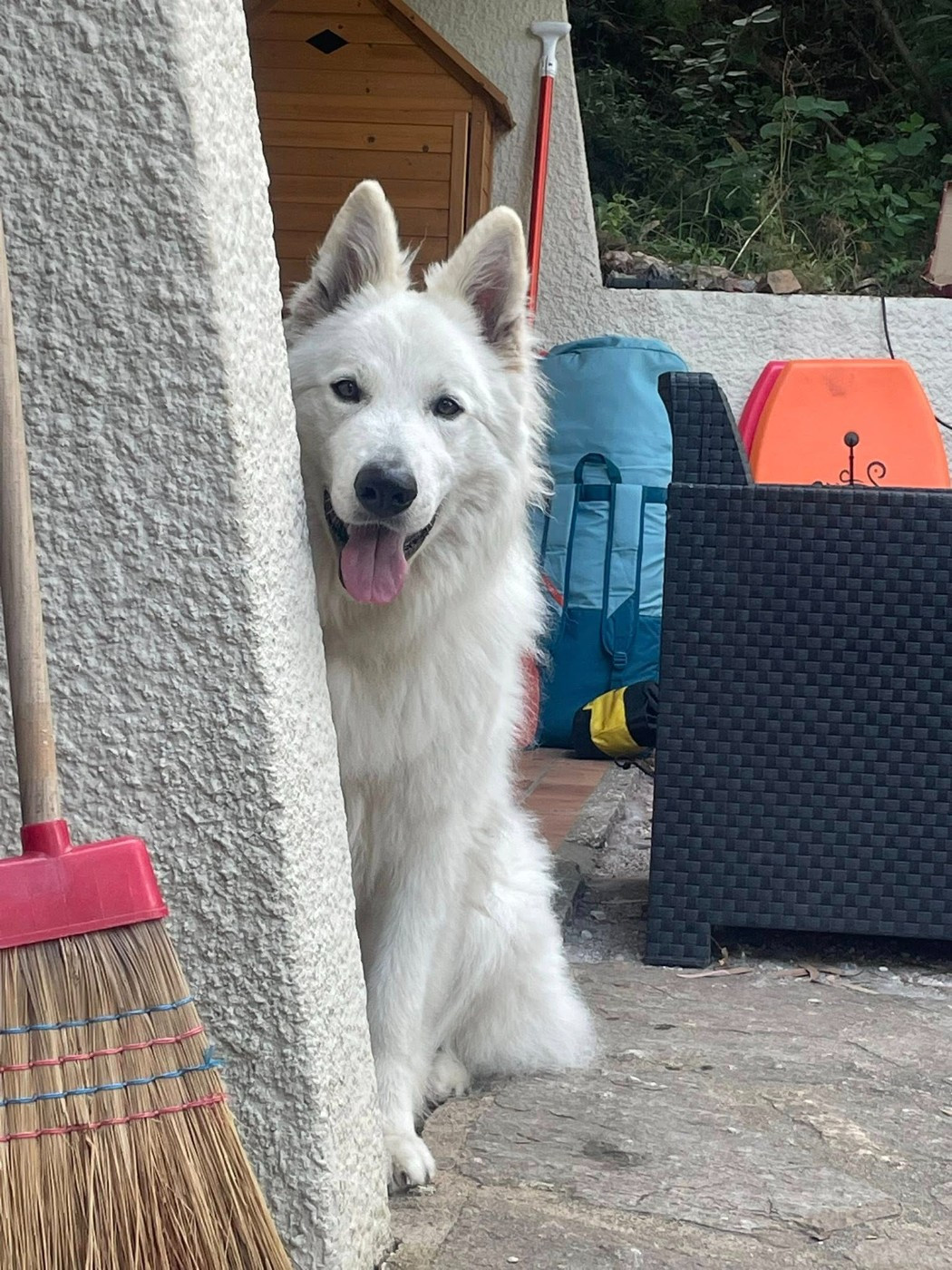 U wolf de la madeleine Du Moulin De Beuvry