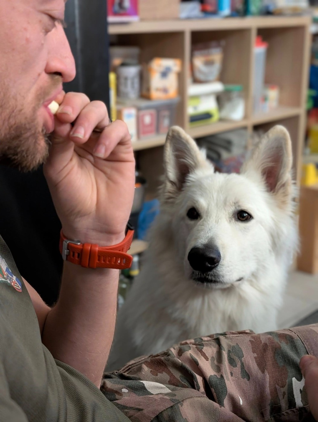 U wolf de la madeleine Du Moulin De Beuvry