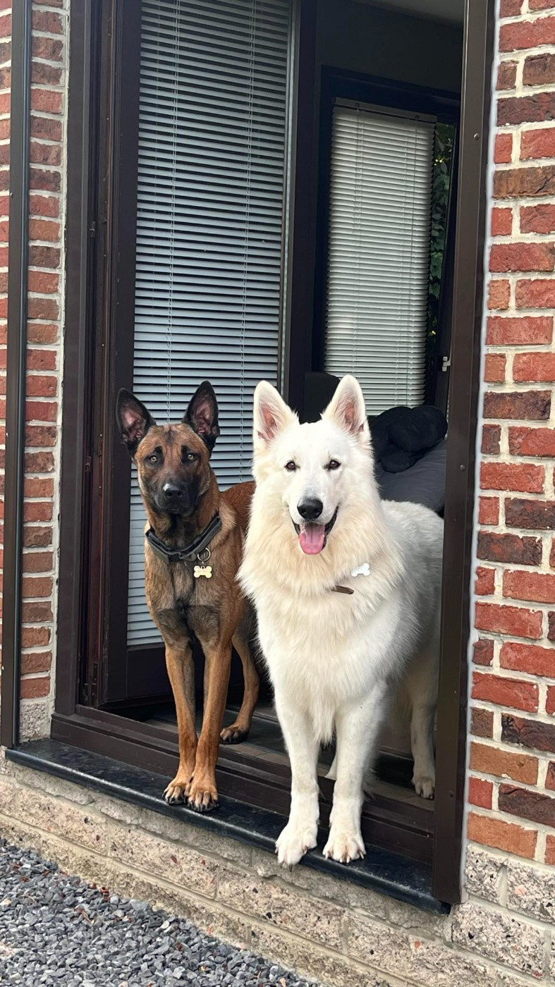 S'ice Du Moulin De Beuvry