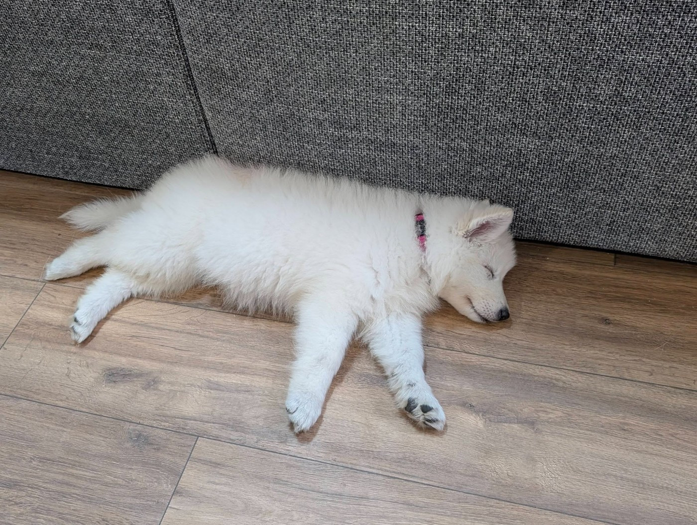 ALASKA Du Moulin De Beuvry