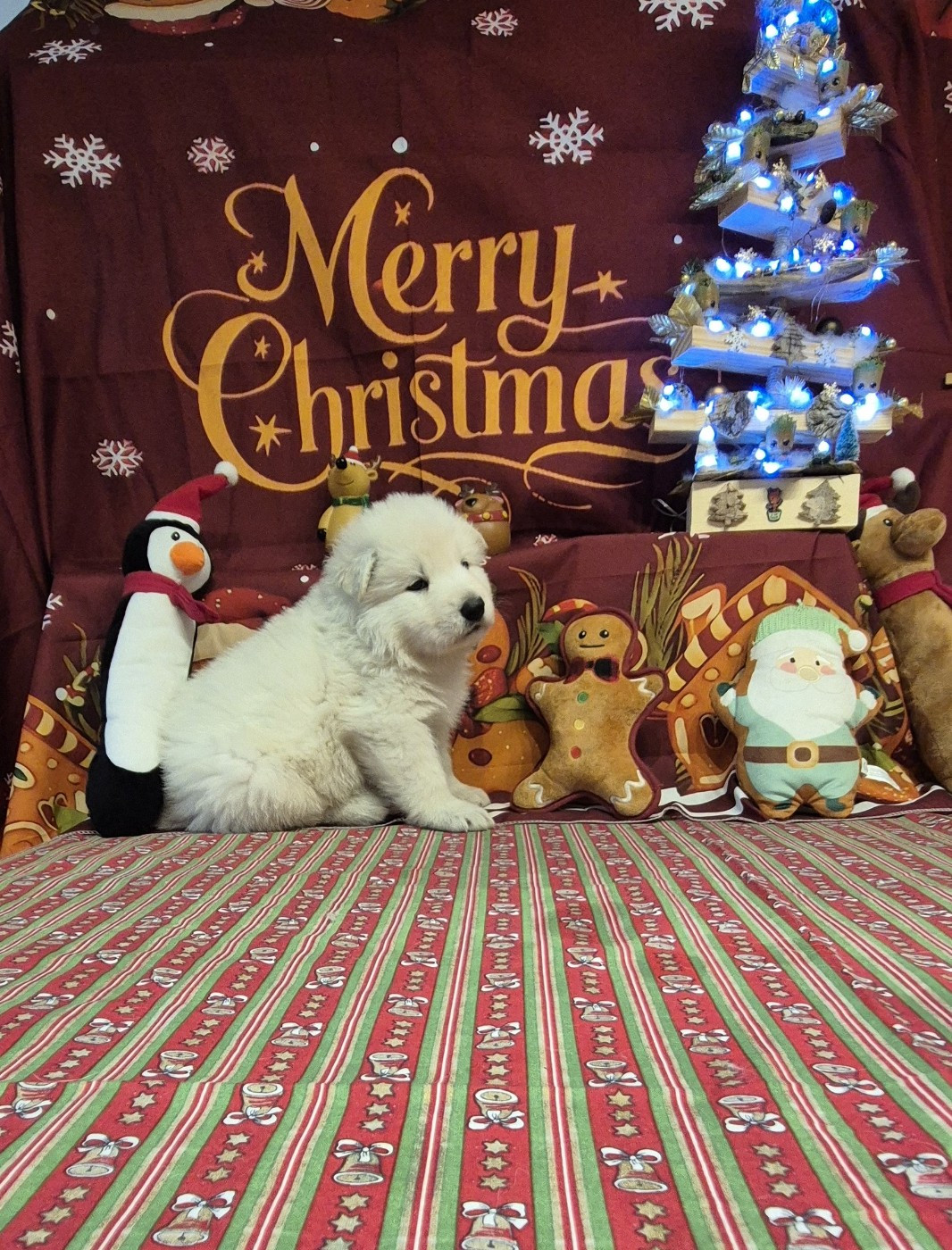 ARES Du Moulin De Beuvry