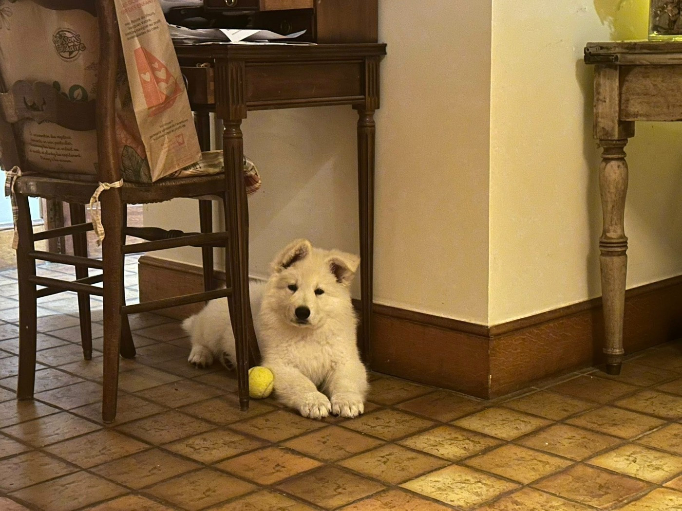 ARES Du Moulin De Beuvry