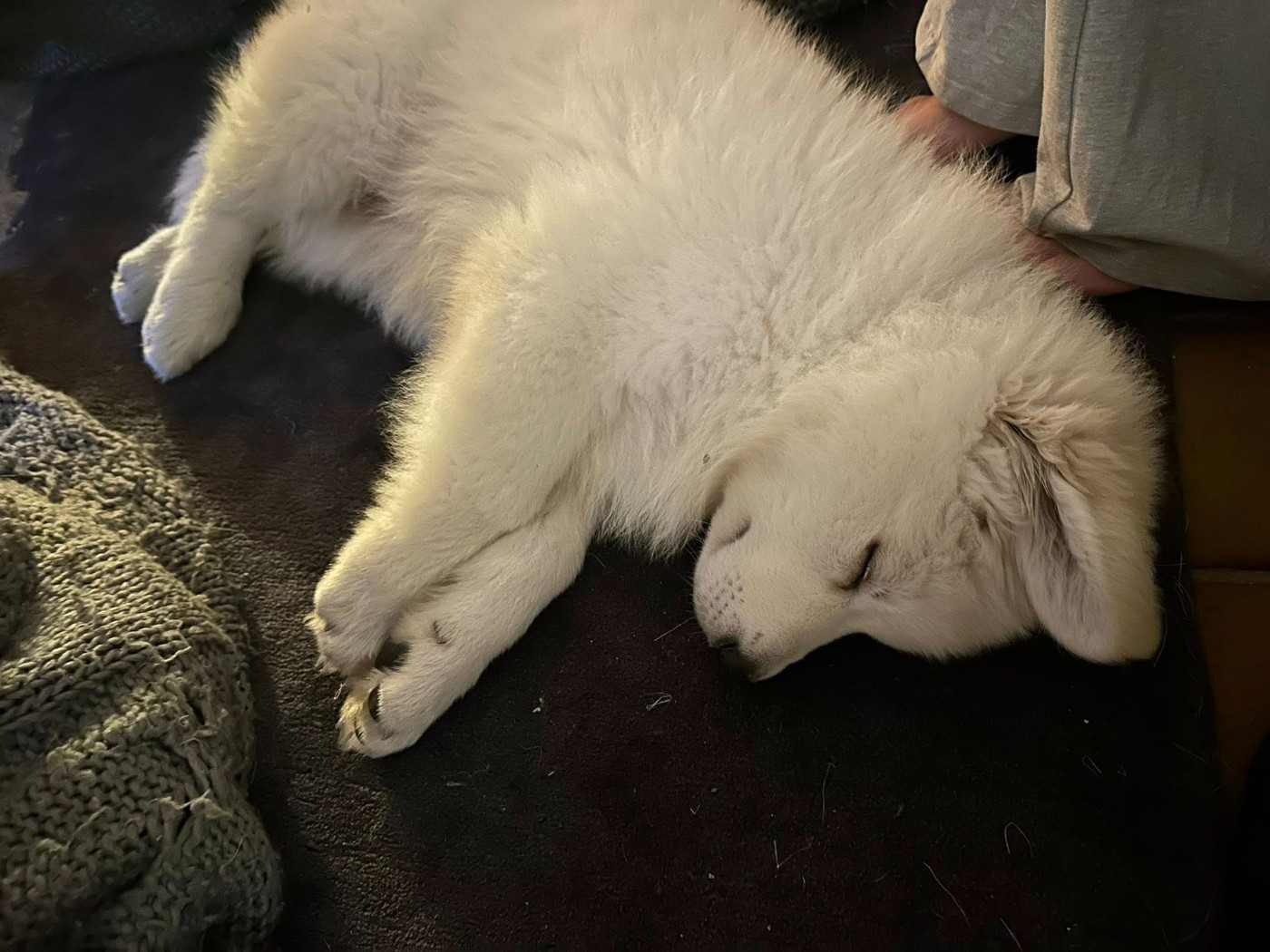 ARES Du Moulin De Beuvry